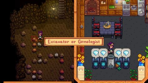 Stardew Valley: Excavator or Gemologist